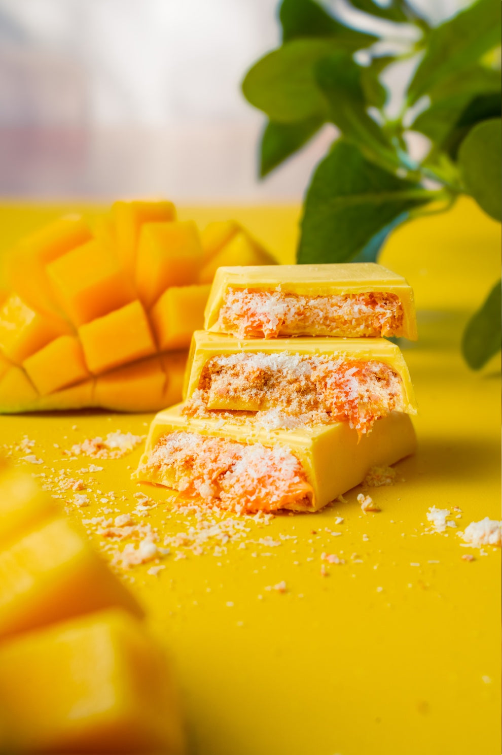 Mango and coconut chocolate bar